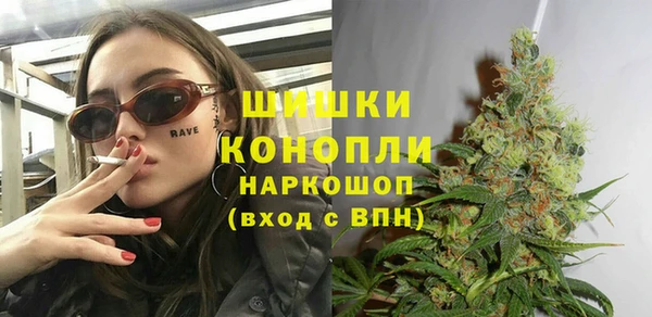 мет Инта