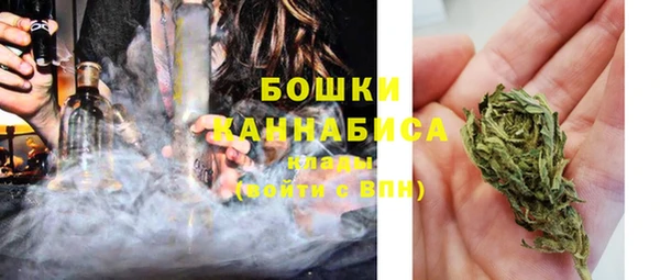 мет Инта
