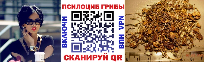 Купить где  Бирск  Псилоцибиновые грибы MAGIC MUSHROOMS 
